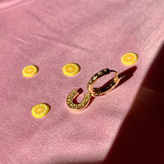 Horseshoe Charm - Lemon Lua Horseshoe Charm Lemon Lua Default Title Lemon Lua Horseshoe Charm Horseshoe Charm